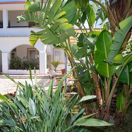 From Flori Terrasini