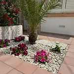 Bed & Breakfast From Flori Terrasini