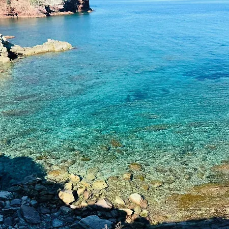 From Flori 3*