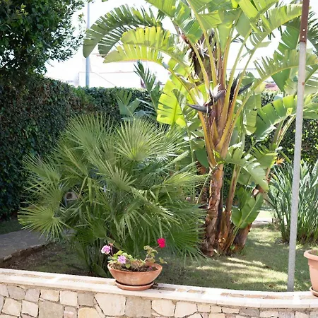 Bed and breakfast From Flori Terrasini