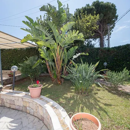 Bed & Breakfast From Flori Terrasini