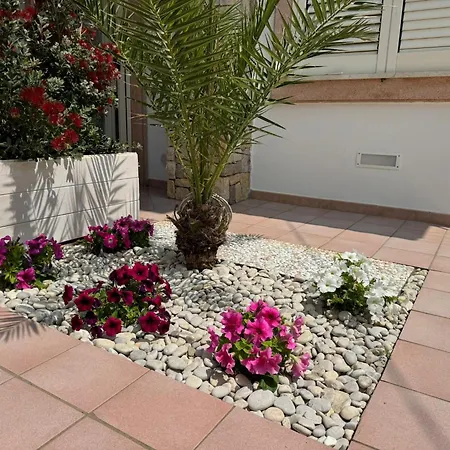 Bed and breakfast From Flori Terrasini