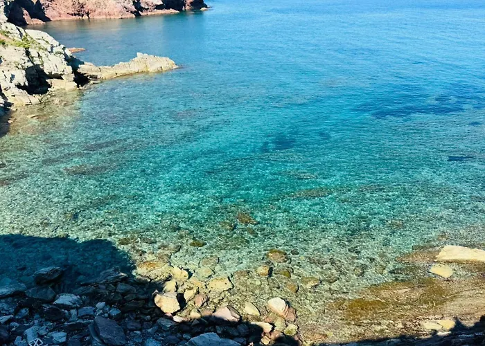 From Flori 3*