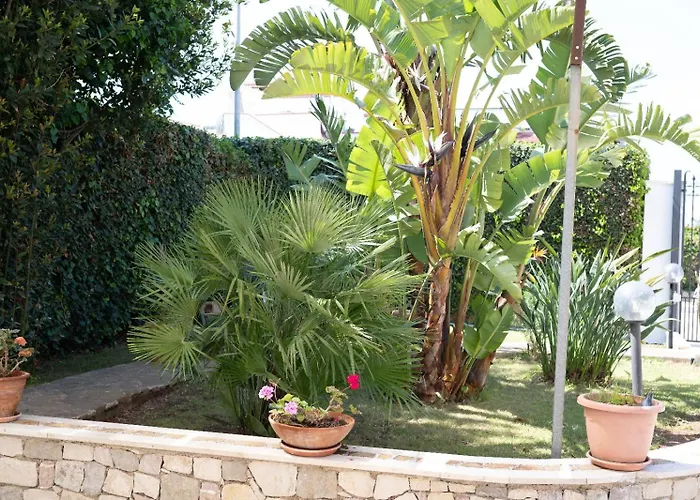 Bed & Breakfast From Flori Terrasini